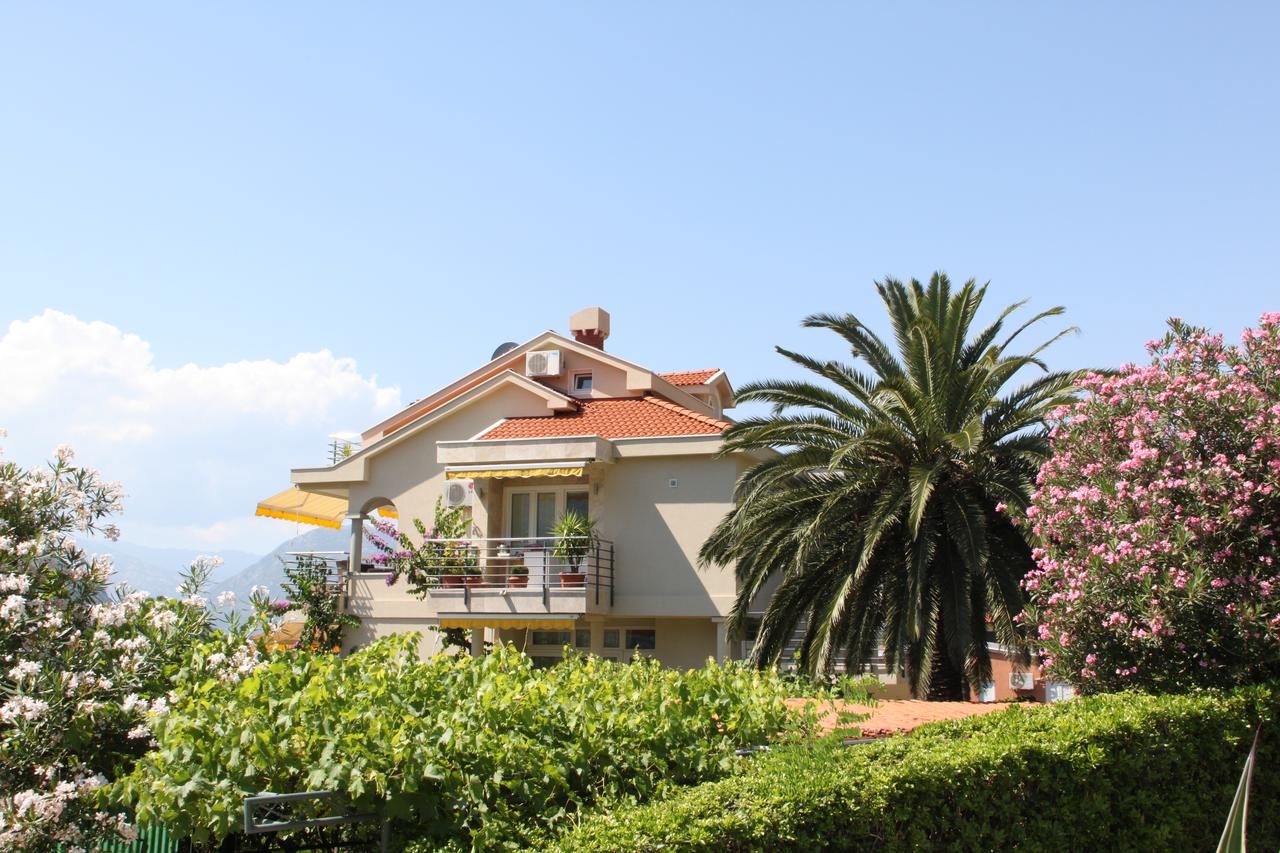 Апартаменты Palma Apartments Котор