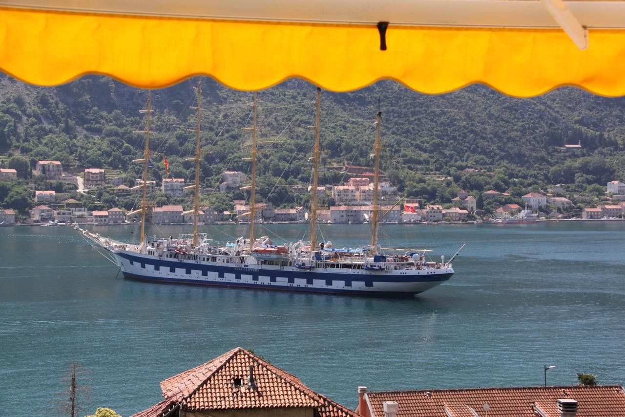 Апартаменты Palma Apartments Котор