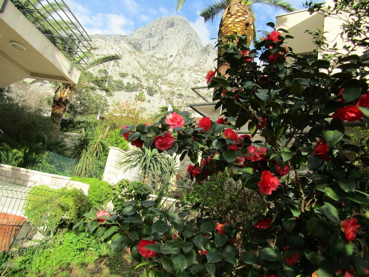 Апартаменты Palma Apartments Котор-12