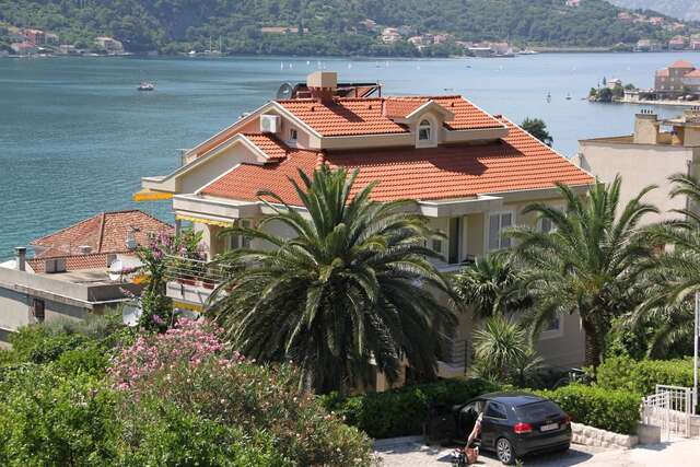 Апартаменты Palma Apartments Котор-18