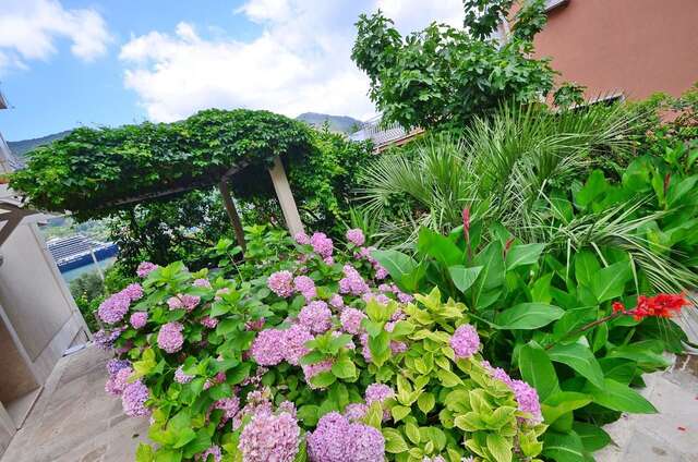 Апартаменты Palma Apartments Котор-28