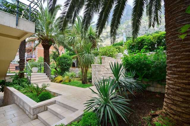 Апартаменты Palma Apartments Котор-40