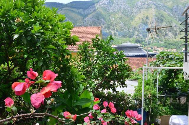 Апартаменты Palma Apartments Котор-42