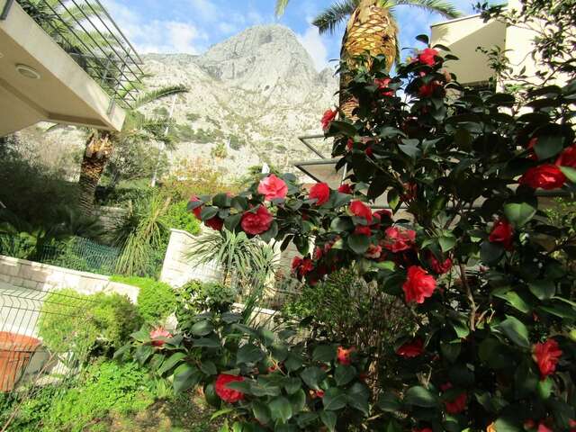 Апартаменты Palma Apartments Котор-11